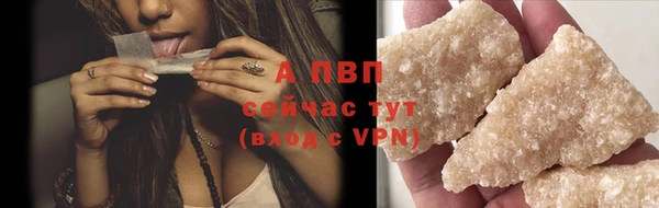 прущий лед Богданович