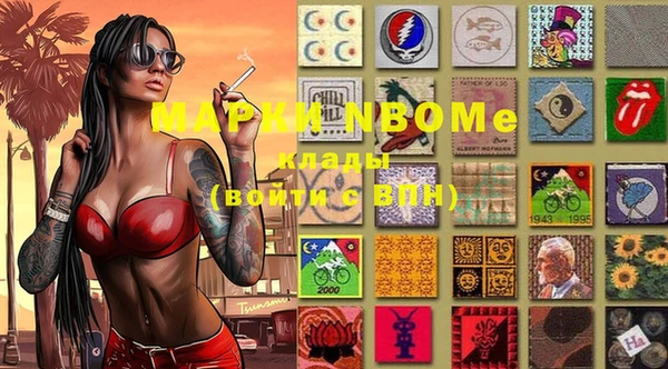 прущий лед Богданович