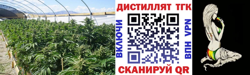 Купить  Палласовка  Дистиллят ТГК концентрат 