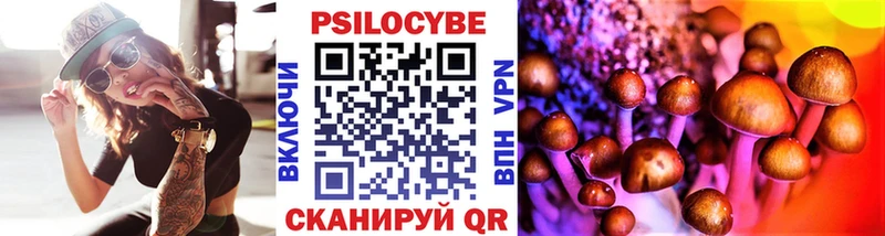 Псилоцибиновые грибы Cubensis  Купить где  Палласовка 